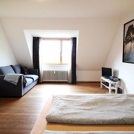 Zentrale Stadtwohnung - Direkt Am Main, Park-Ausblick Вюрцбург Екстериор снимка